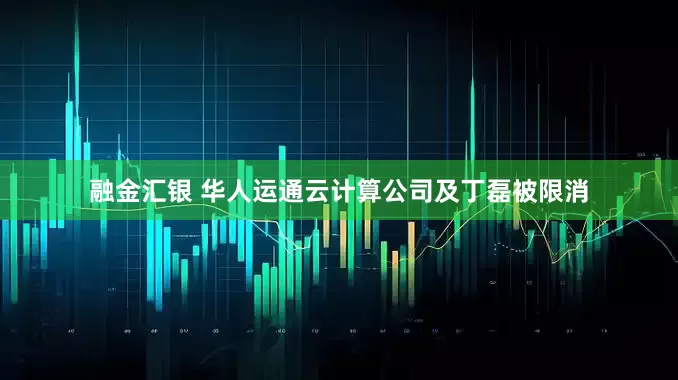 融金汇银 华人运通云计算公司及丁磊被限消
