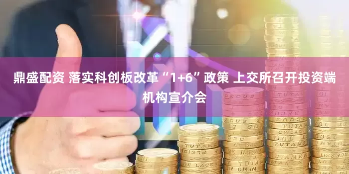 鼎盛配资 落实科创板改革“1+6”政策 上交所召开投资端机构宣介会