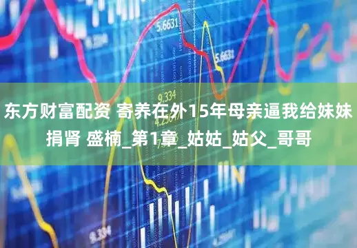 东方财富配资 寄养在外15年母亲逼我给妹妹捐肾 盛楠_第1章_姑姑_姑父_哥哥